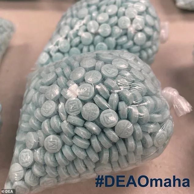 Fentanyl Seizures Surpass 377 Million Lethal Doses at U.S. Border Points