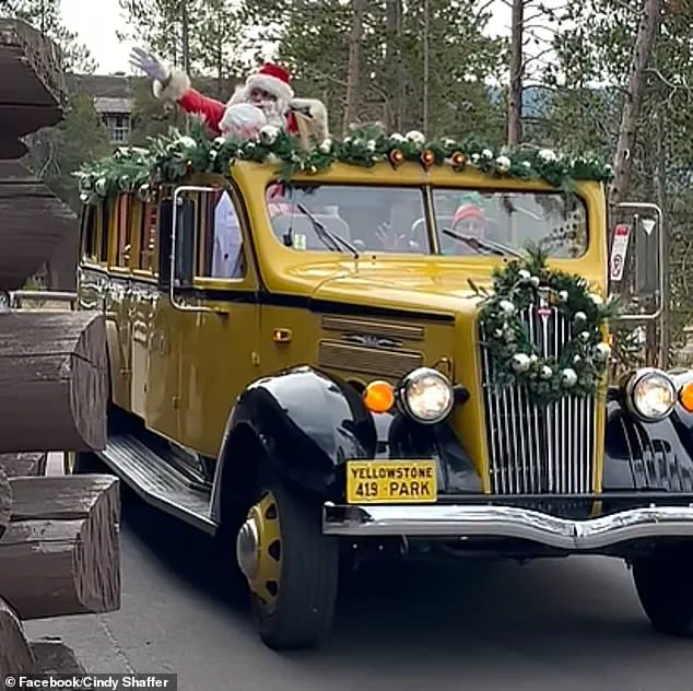 Breaking: Yellowstone National Park Celebrates Christmas Twice a Year, with Early Celebration on August 25