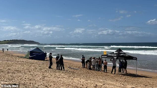 Exclusive: Witness Accounts Reveal the Horror of the Surfer's Fatal Shark Attack