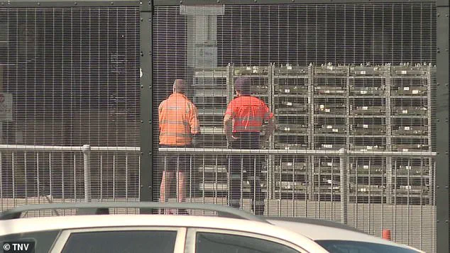 Tragic Death at Sydney Airport Sparks Outcry Over Workplace Safety: 'This Tragedy Highlights Urgent Needs' – Community Advocate