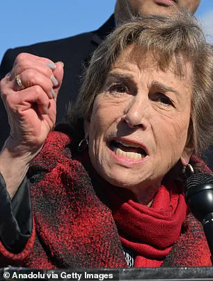 Generational Divide Intensifies Within Democratic Party as Old Guard Resists Change