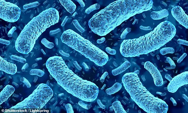 USDA Issues Alert Over HelloFresh Recall Linked to Listeria Contamination, Warning of Severe Health Risks