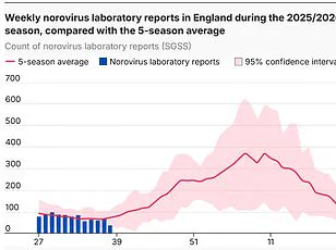 Expert Warns of Vaping's Impact on Long-Term Health Risks from New Covid-19 Variants Amid Heightened Public Health Concerns