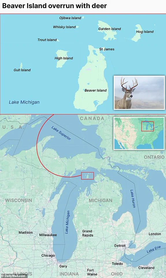 Urgent Crisis Threatens Beaver Island's Fragile Ecosystem: Hidden Gem of Lake Huron Faces Unprecedented Threat