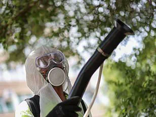 Chikungunya Virus Confirmed in the U.S., Prompting Concerns Over Public Health Preparedness and Expert Advisories