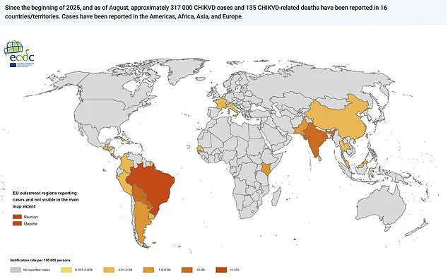 Chikungunya Virus Confirmed in the U.S., Prompting Concerns Over Public Health Preparedness and Expert Advisories