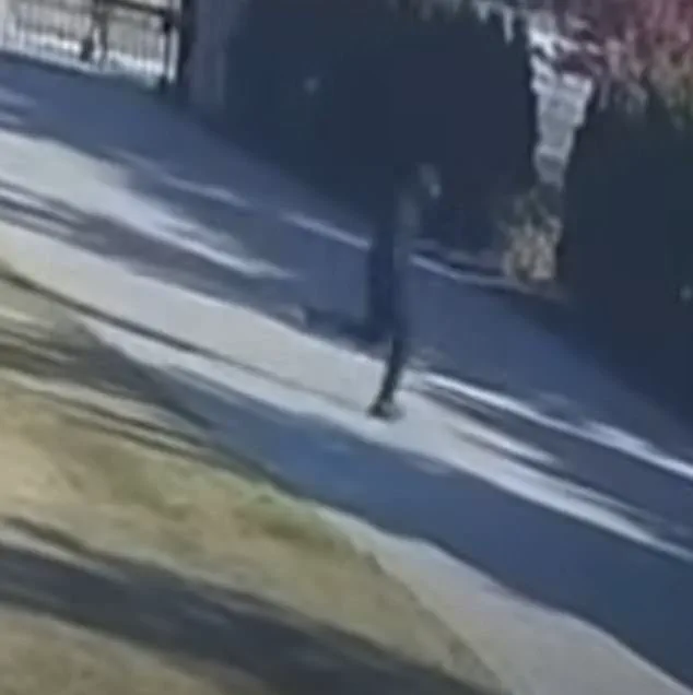 Michigan Shooting Incident Sparks Debate Over Public Safety Regulations
