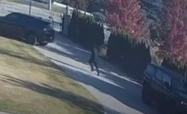 Michigan Shooting Incident Sparks Debate Over Public Safety Regulations