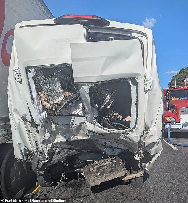Tragic Interstate 85 Collision Claims Eight Lives in Chain Reaction Crash