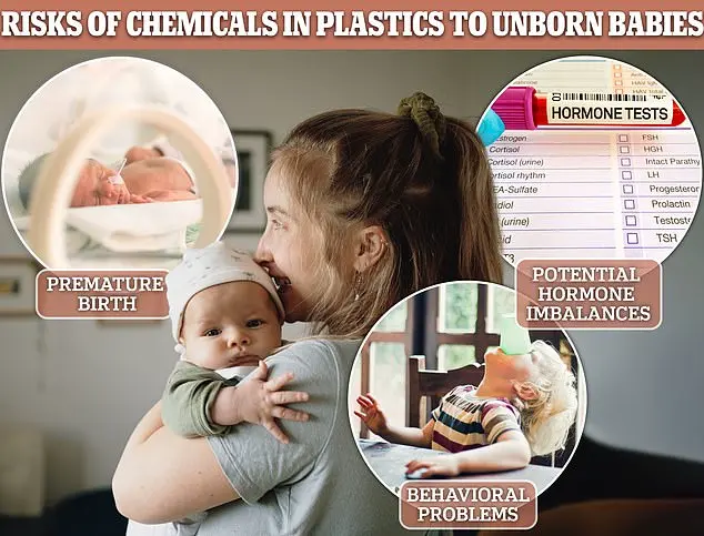 Regulatory Scrutiny Mounts Over Phthalates in Popular Fast Food Items