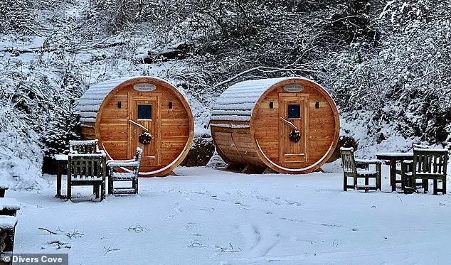 The Science and Tradition of Sauna Culture in Scandinavia