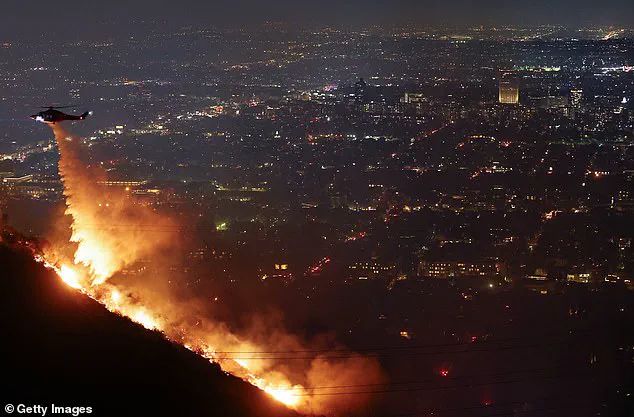 Devastation in Pacific Palisades: A Year After the Fire