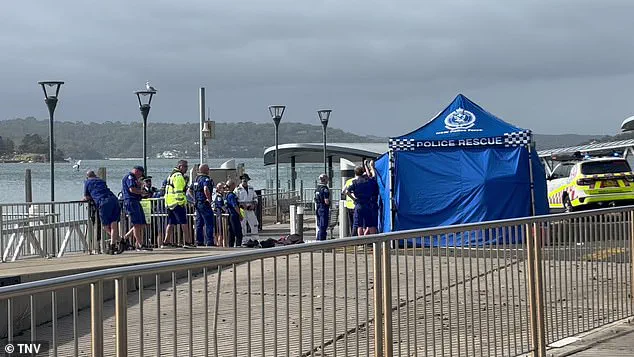 Shark Attacks on Sydney Beaches Spark Lockdown and Community Fear: 'Urgent Action Needed' Says Marine Expert