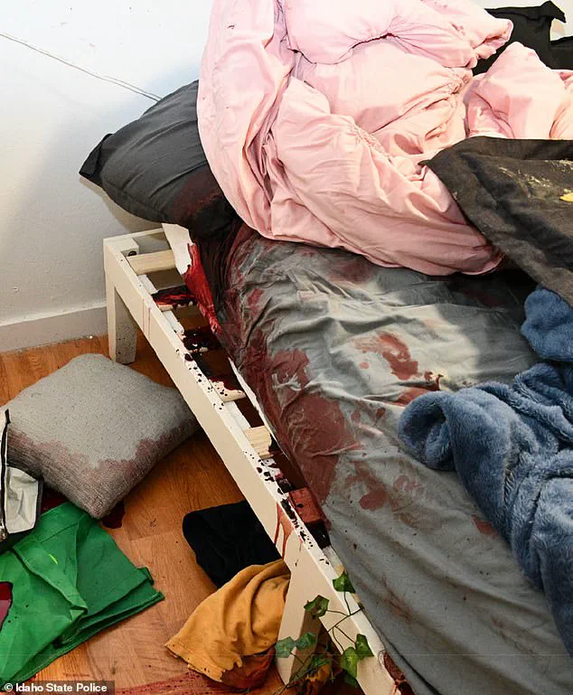 Crime Scene Details from Bryan Kohberger's 2022 Murder of Four College Students in Moscow, Idaho, Now Demolished