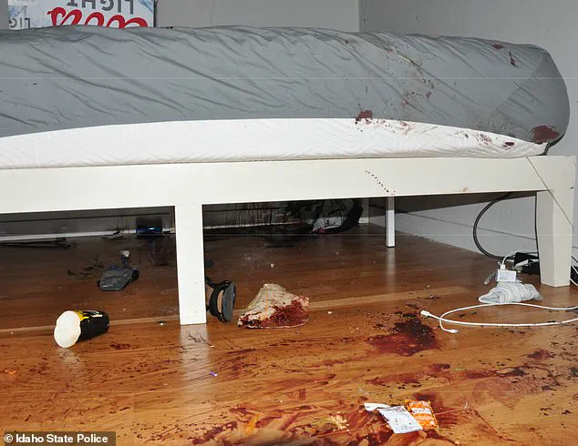 Crime Scene Details from Bryan Kohberger's 2022 Murder of Four College Students in Moscow, Idaho, Now Demolished