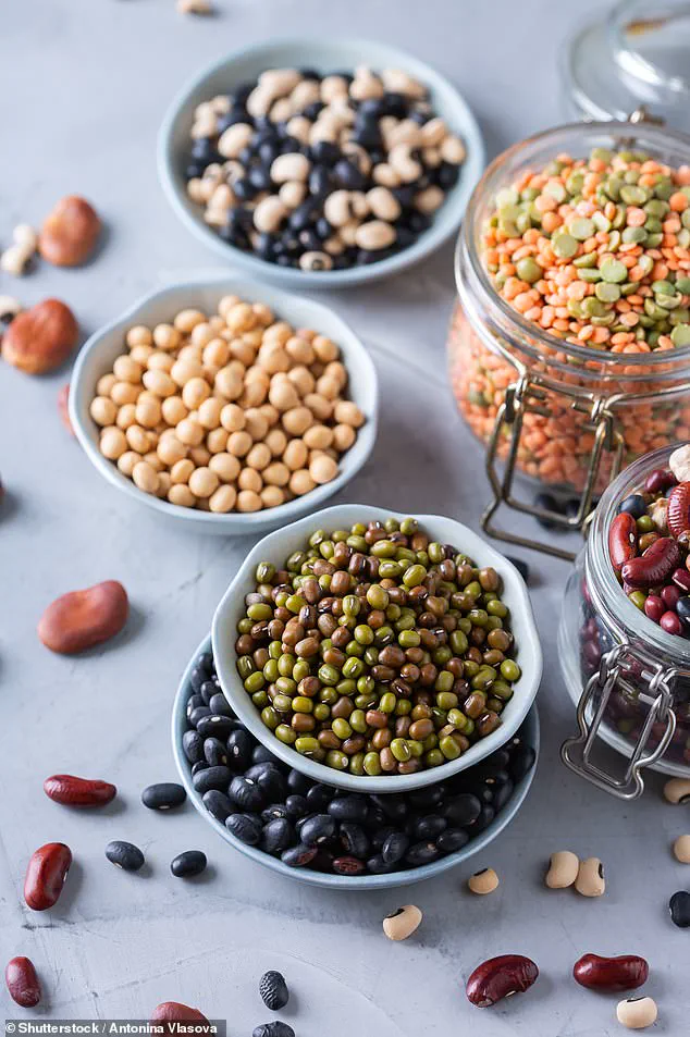 Study Challenges Red Meat Perceptions: Lean Pork in Plant-Forward Diets May Offer Health Benefits Comparable to Legumes