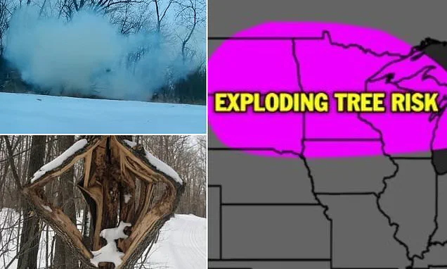 Historic Winter Storm Threatens Millions as National Weather Service Warns of Catastrophic Conditions from New Mexico to the Northeast