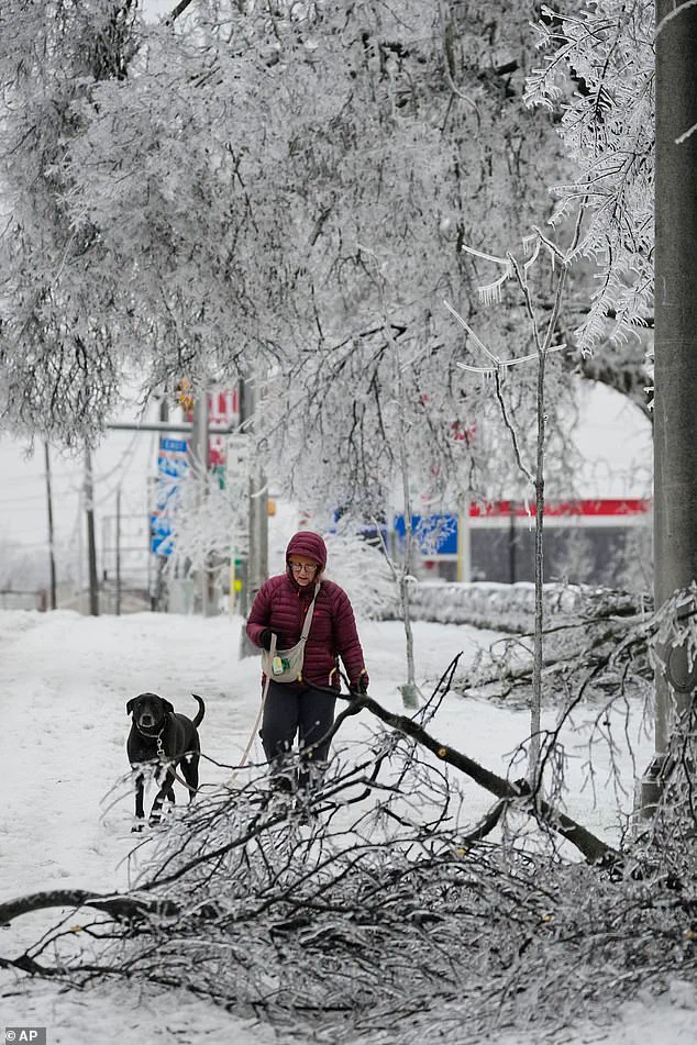 Winter Storm Fern Costs Over $100 Billion, Claims 16 Lives in Historic U.S. Weather Event