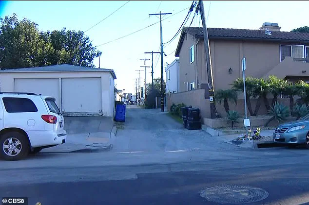 San Diego Woman Faces Charges in Hit-and-Run That Killed 6-Year-Old Boy