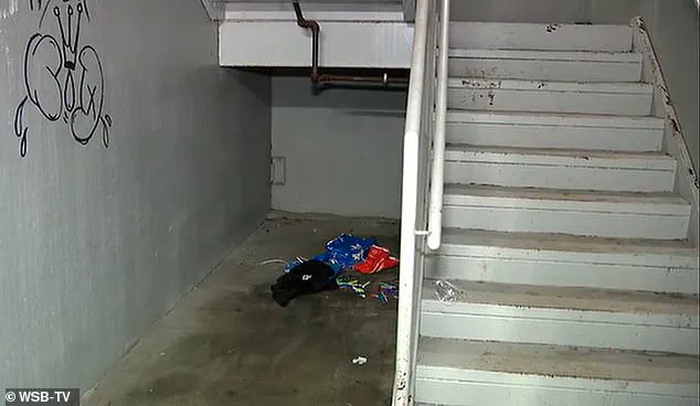 Surveillance Footage of Alleged Dog Abuse in Atlanta Sparks Debate on Animal Welfare Regulations