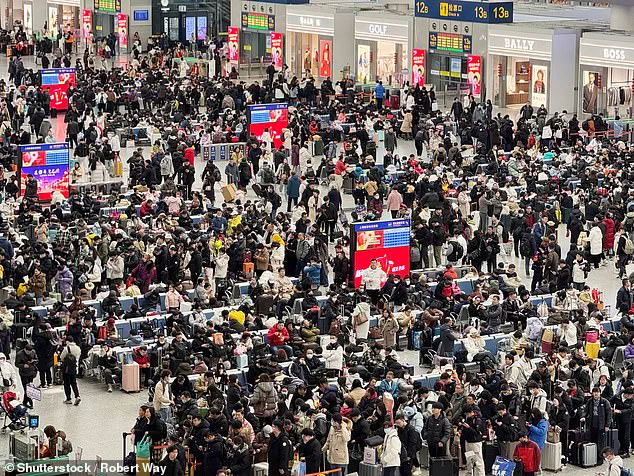 Urgent Concerns Over Nipah Virus Outbreak Risk During Lunar New Year Travel Surge
