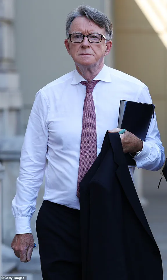 Shocking Image Reveals Lord Peter Mandelson in Epstein's Mansion: 'A Moment That Should Never Have Been Forgotten,' Says Legal Expert