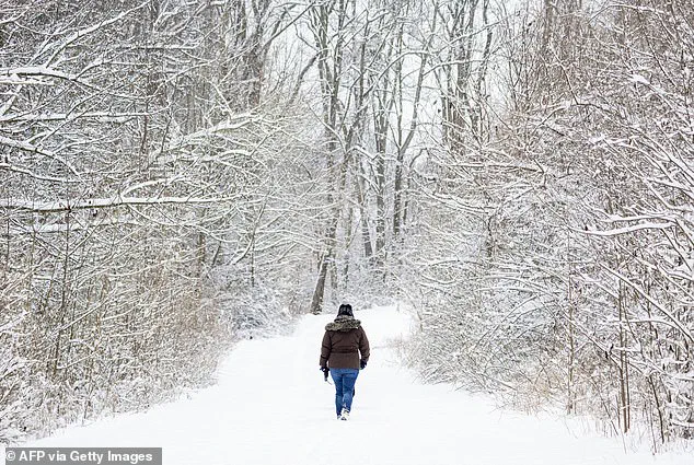 Woman Dies After Slip on Ice During Cold Weather Hike in Annapolis
