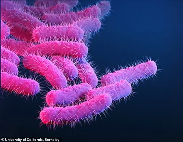 Cape Verde Declares Health Emergency After 1,500 British Tourists Fall Ill with Shigella and Salmonella Outbreak, Six Dead