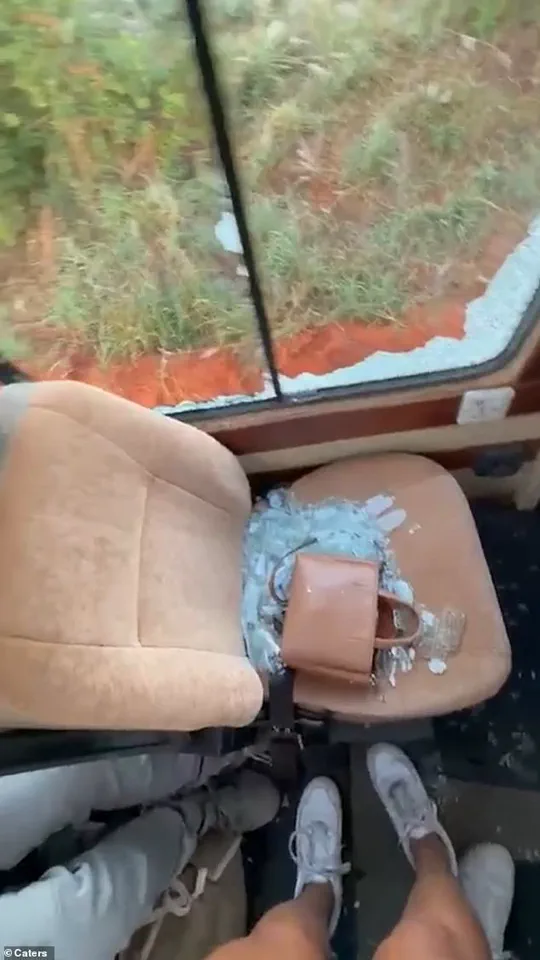 Peaceful Safari Turns Perilous as Elephant Attacks Tourists in Serengeti