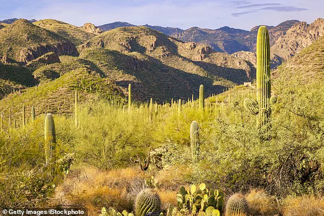 Authorities in Tucson, Arizona, Expand Search for Missing 84-Year-Old Nancy Guthrie Amid Rugged Terrain and Foul Play Concerns