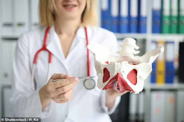 40% of UK Women Live with Urinary Incontinence: Understanding Stress Incontinence and the Pelvic Floor Misconception