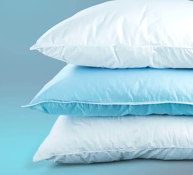 The Bed Biome: How Microbes and Mites Could Be Sabotaging Your Sleep and Health