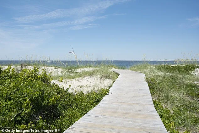 Record-Breaking Great White Shark 'Contender' Spotted Near Cape Fear, NC