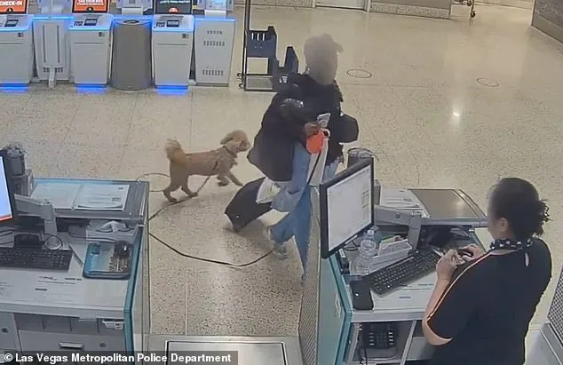 Germiran Bryson Charged with Animal Abandonment After Leaving Puppy at Las Vegas Airport