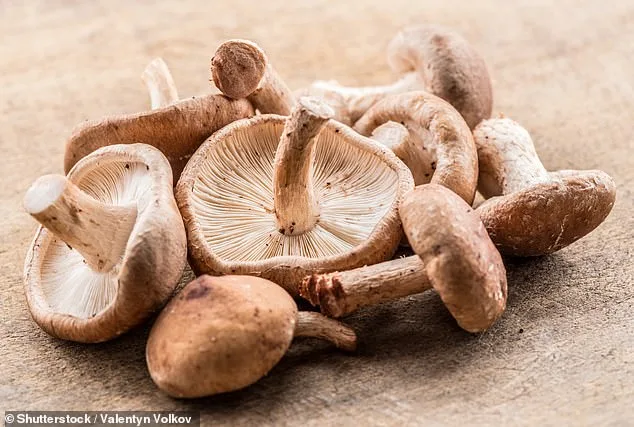 Plant-Rich Diets and Cancer Prevention: Key to Lowering Risk