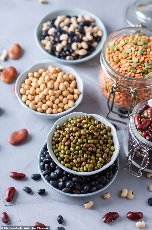 Plant-Rich Diets and Cancer Prevention: Key to Lowering Risk