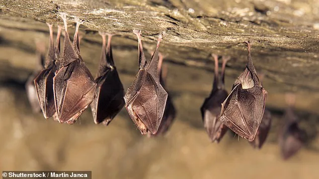 New Study Challenges Lab-Origin Theories of SARS-CoV-2, Uncovers H1N1 Anomaly