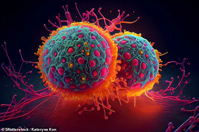 Popular Anti-Aging Molecules May Fuel Cancer Cells, Study Finds