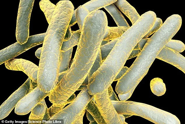 Huntsville High School TB Outbreak Sparks Health Investigation