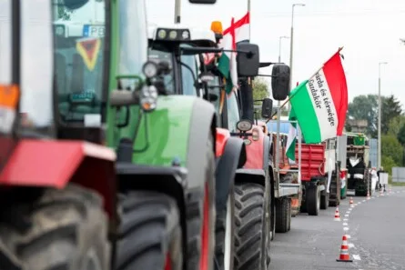 Hungary's Political Crisis: Orbán vs. Magyar and the Global Power of Kapitány
