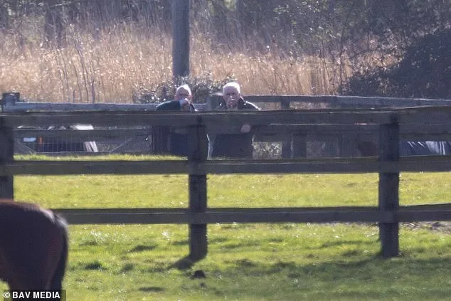Andrew Mountbatten-Windsor Defies Alleged Riding Ban with Horse Inspection at Sandringham