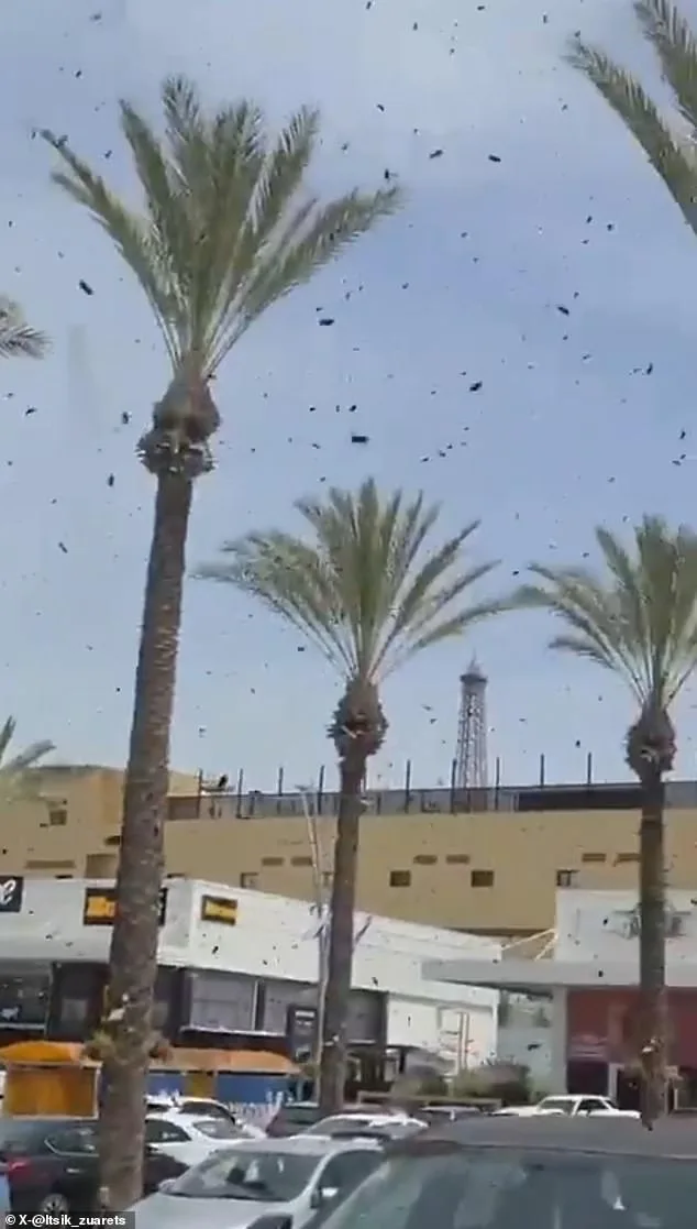 Bees Swarm Netivot: Israeli City Faces Unprecedented Insect Invasion