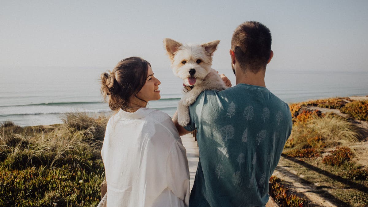 Fabled Voyages becomes first major cruise line to officially accept pet deposits.