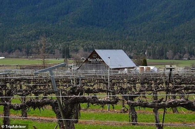 Oregon Winery Owners Face Historic Penalty for Misusing AI in Court