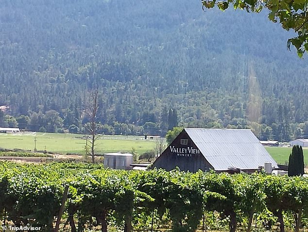 Oregon Winery Owners Face Historic Penalty for Misusing AI in Court