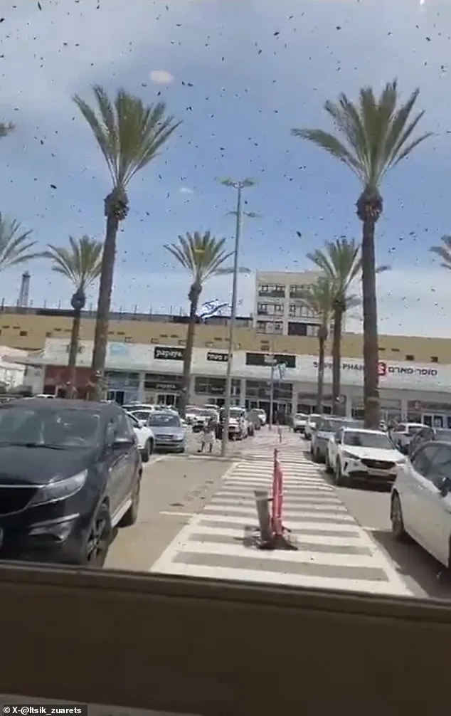 Israel's Bee Swarms Spark Biblical Fears Amid Regional Tensions