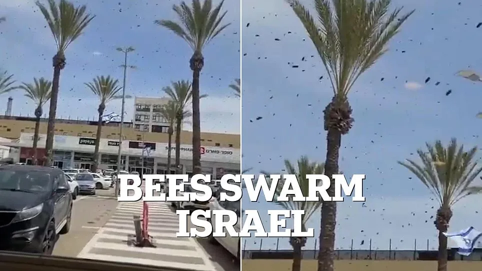 Israel's Bee Swarms Spark Biblical Fears Amid Regional Tensions