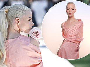 Bella Hadid honors Jane Birkin at Cannes in historic Schiaparelli gown.