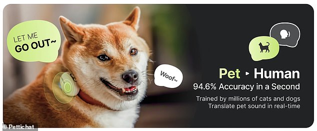 Chinese startup launches AI collar claiming to translate pet sounds.