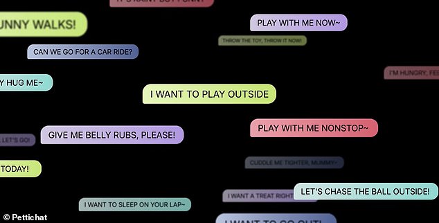 Chinese startup launches AI collar claiming to translate pet sounds.